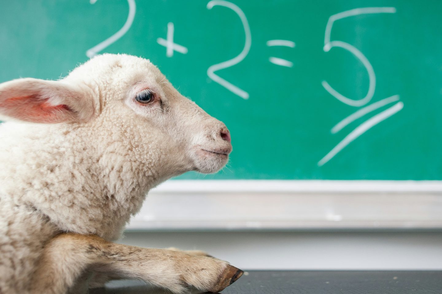 Top-Talente abschrecken leicht gemacht: Fragen, die niemand im Bewerbungsgespräch hören will