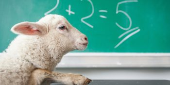 Weitere Blogbeiträge